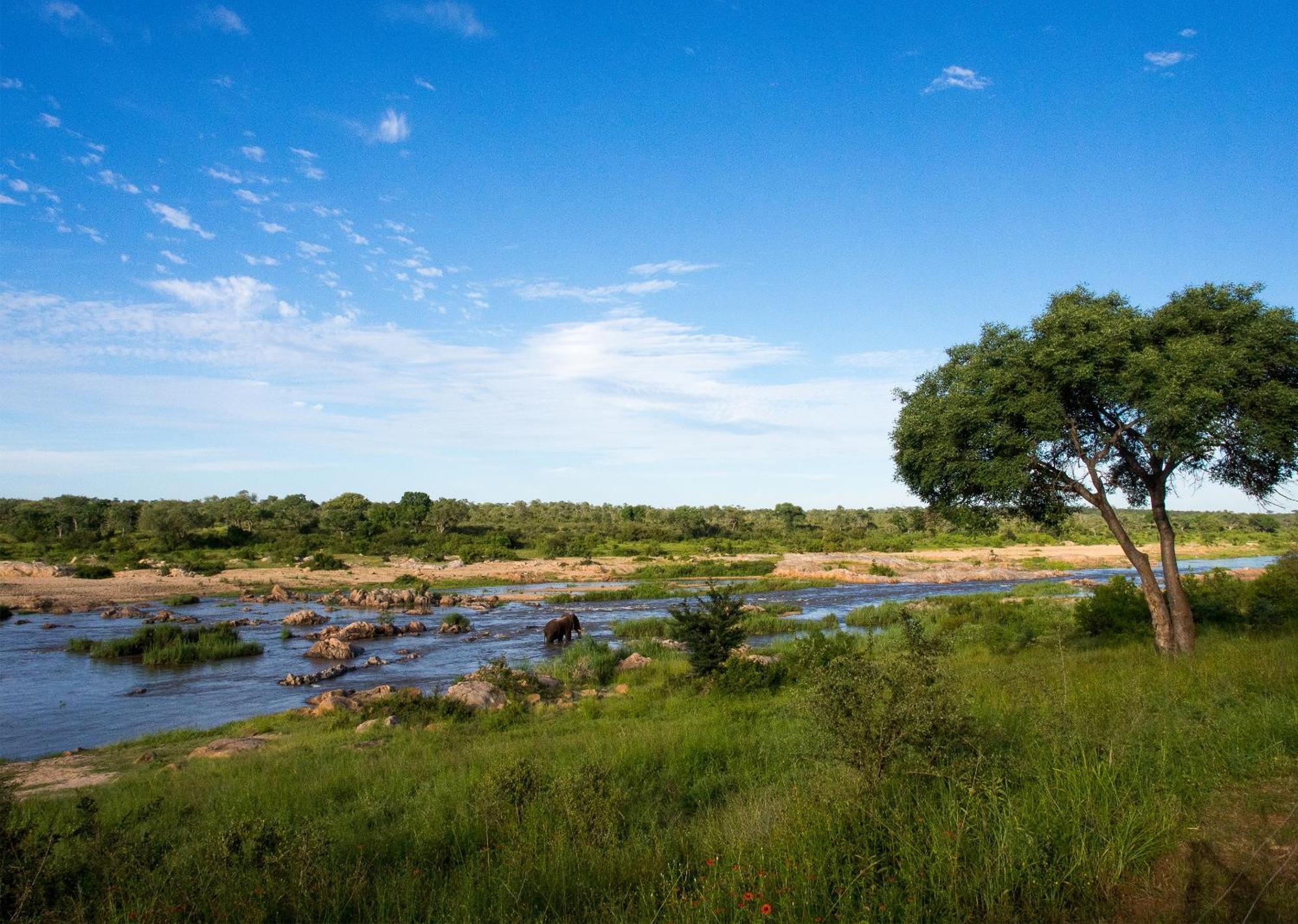Mjejane Bush Camp By Dream Resorts Hectorspruit Exterior photo