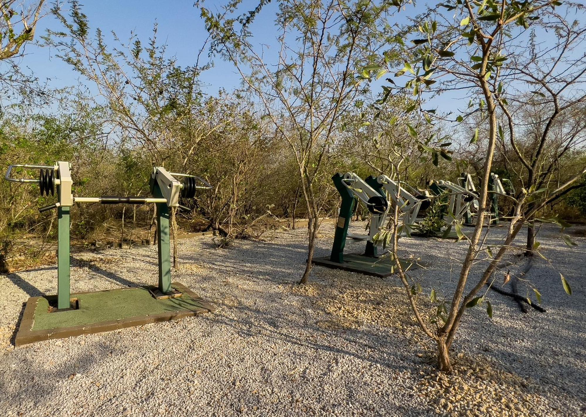 Mjejane Bush Camp By Dream Resorts Hectorspruit Exterior photo